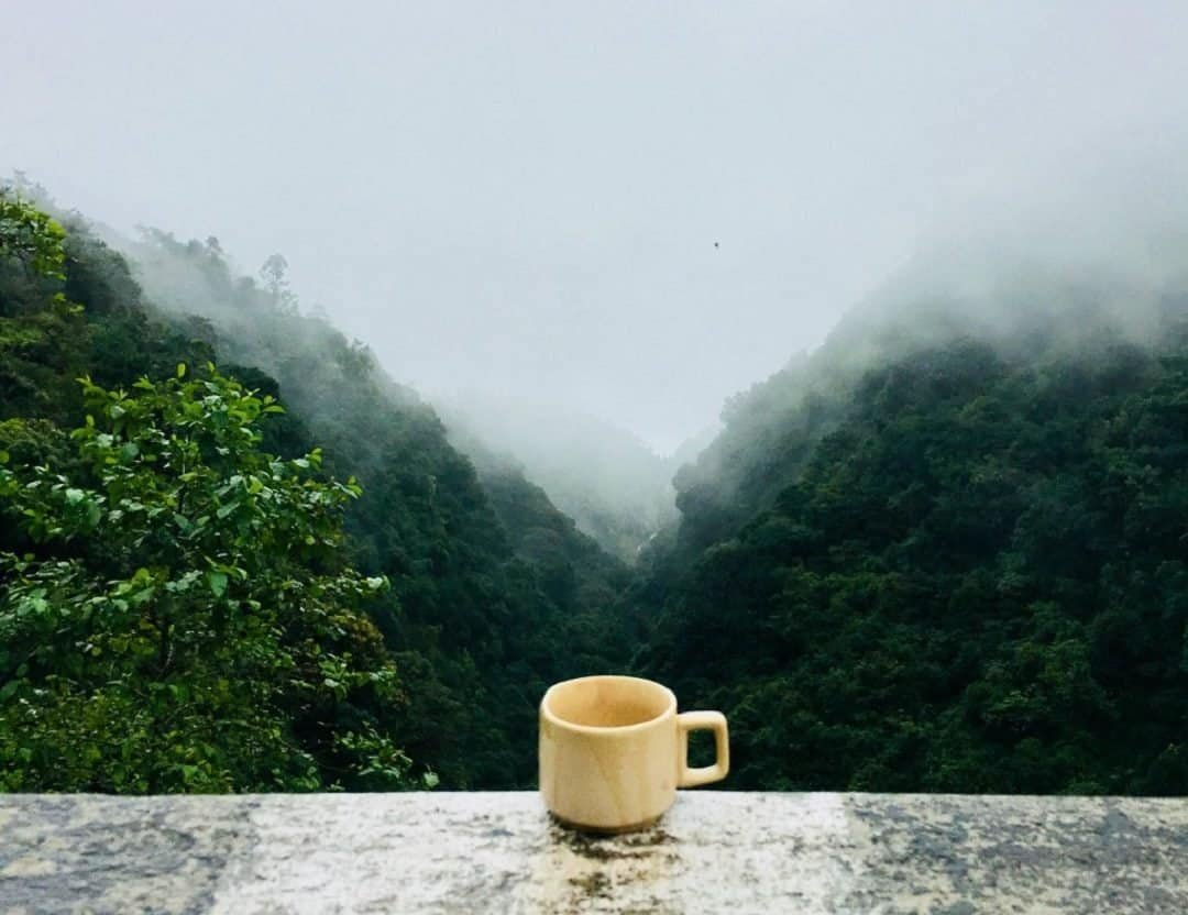 Menyeruput kopi di Desa Wisata Osing (sumber medcom.id)