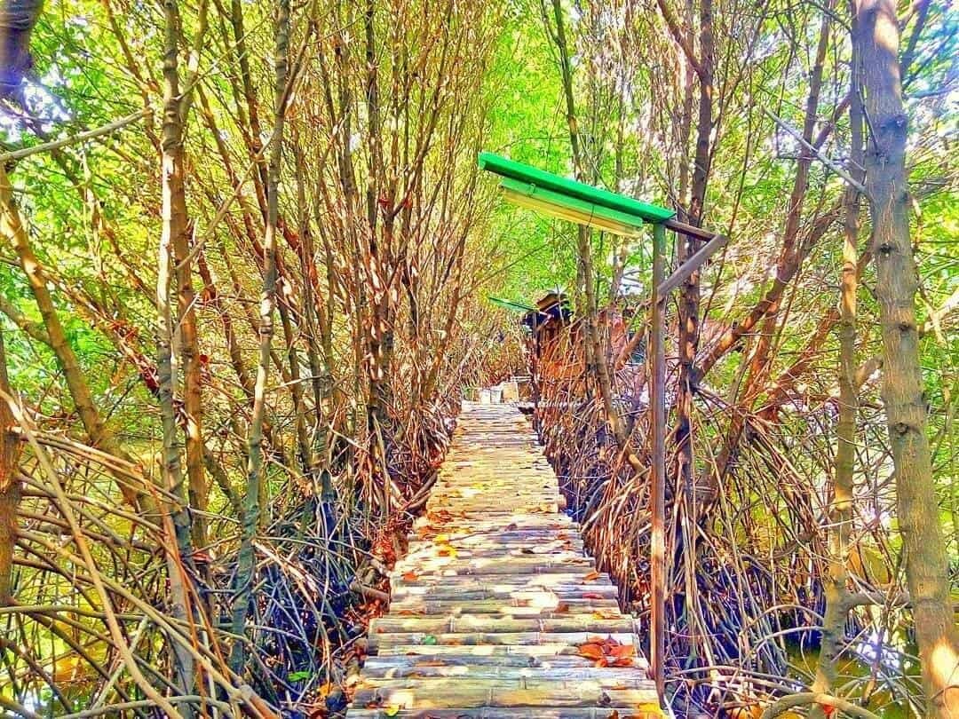 Jogging di Taman Wisata Alam Mangrove Angke Kapuk bisa jadi salah satu aktivitas alternatif di akhir pekan untuk kamu yang tinggal di Jakarta