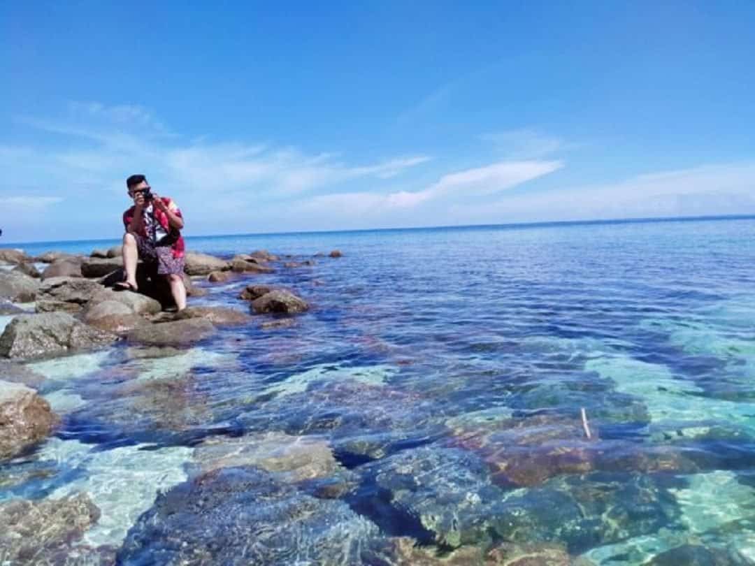 Pemandang Bawah Laut di Pulau Pandang