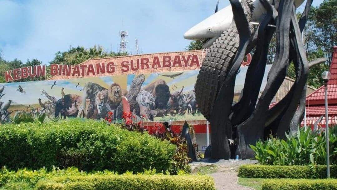 Kebun binatang Surabaya (sumber detik.com)