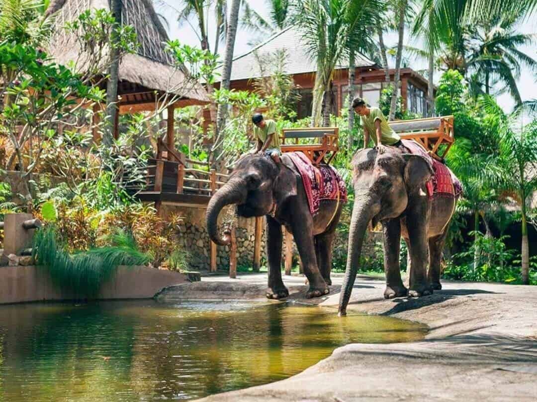 Lombok Wildlife Park (sumber wandernesia.com)