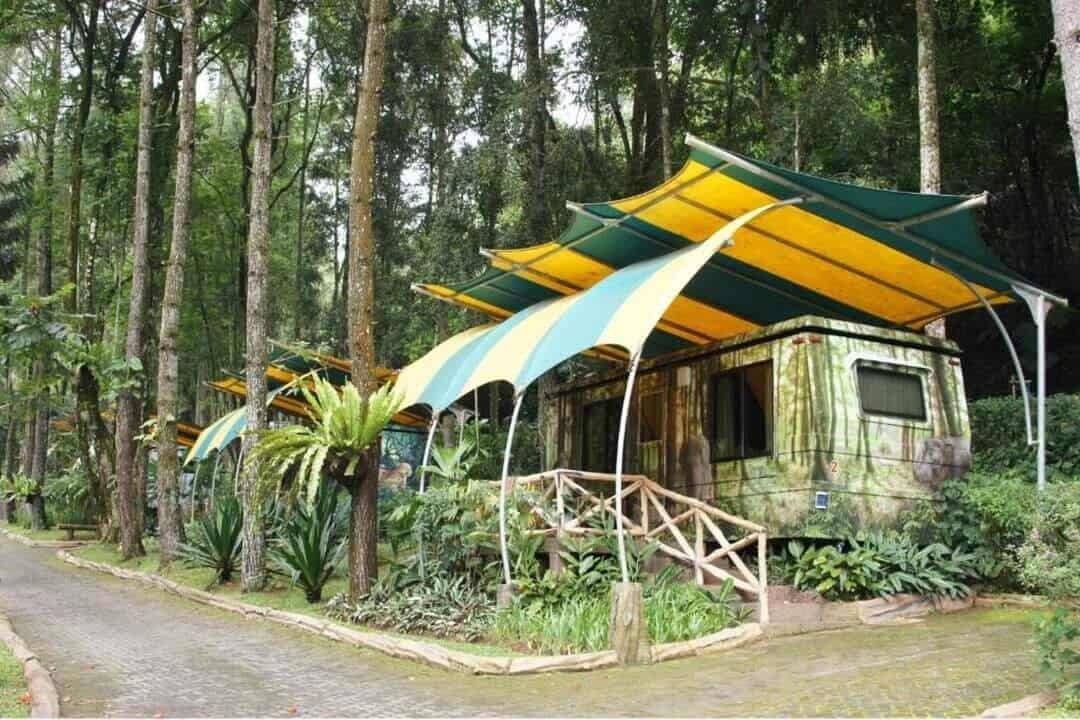 Safari Resort (sumber booking.com)