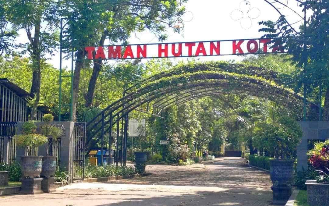 Taman Hutan Kota