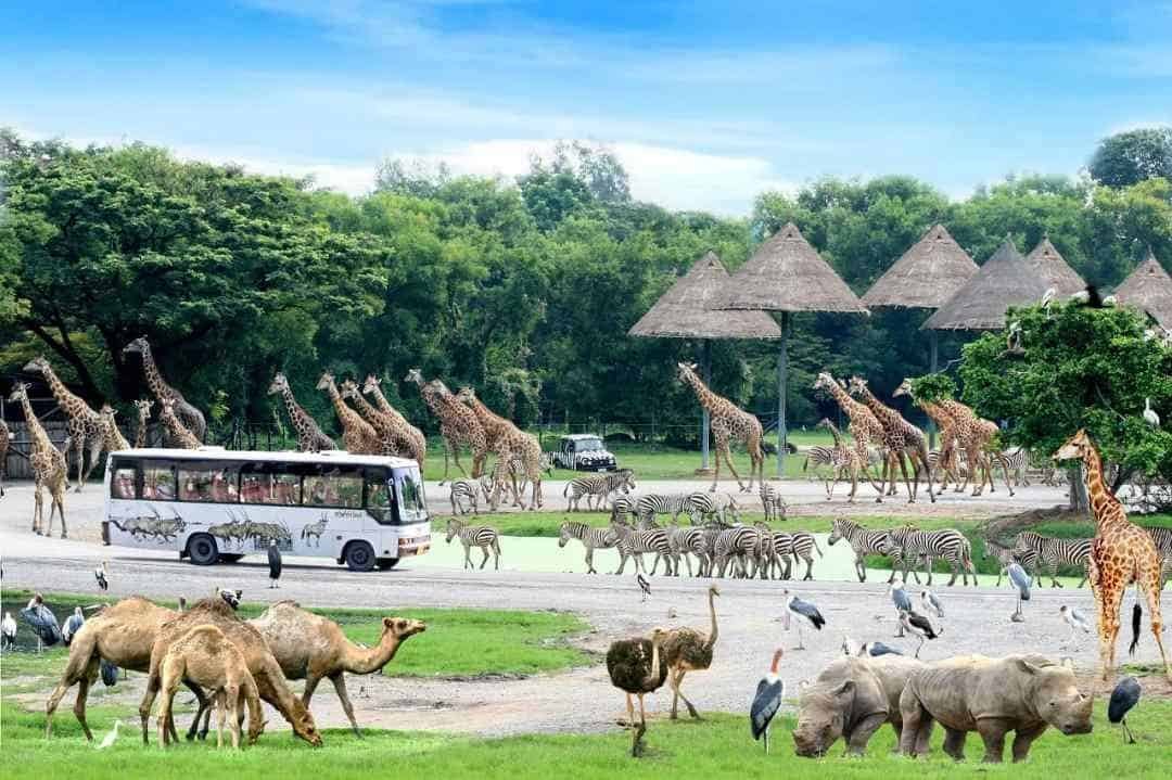 Safari World