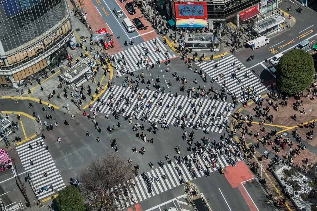 Shibuya Crossing 