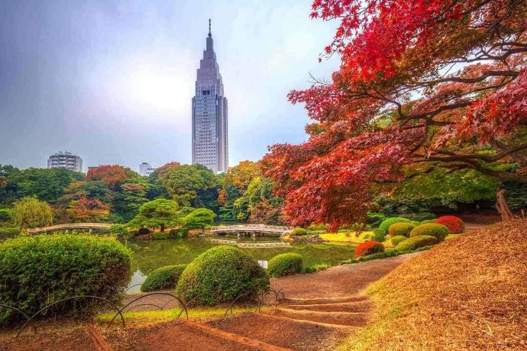 Shinjuku Gyoen National Park