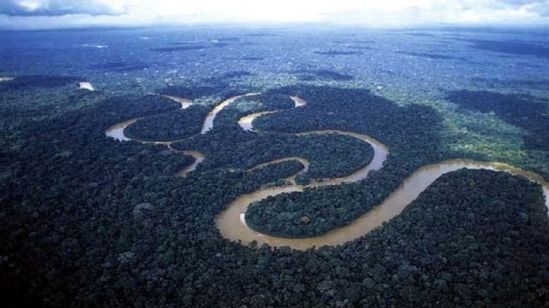 sungai amazon