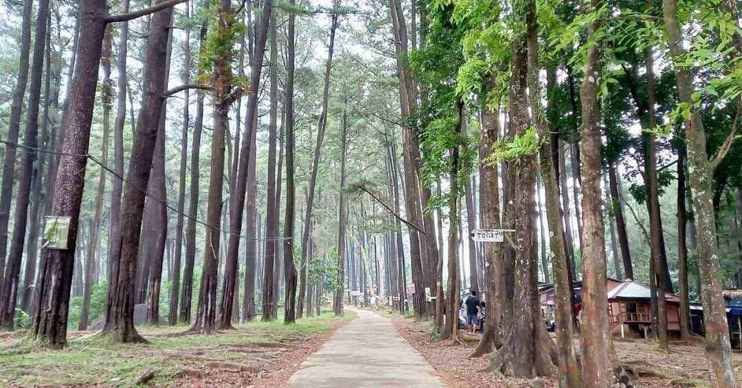 Hutan Wisata Sreni indah