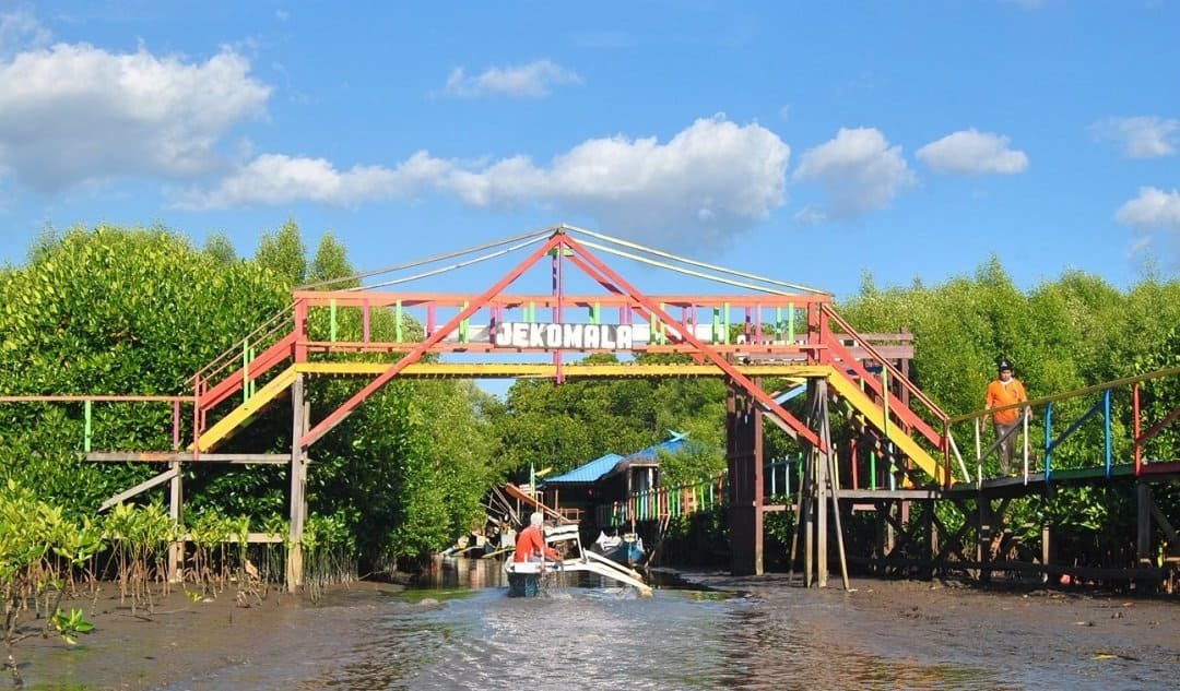 Mangrove Lantebung