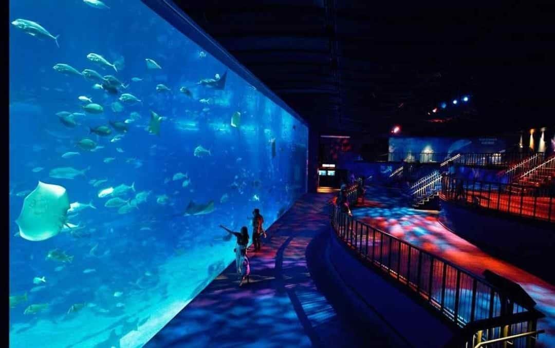 S.E.A Aquarium