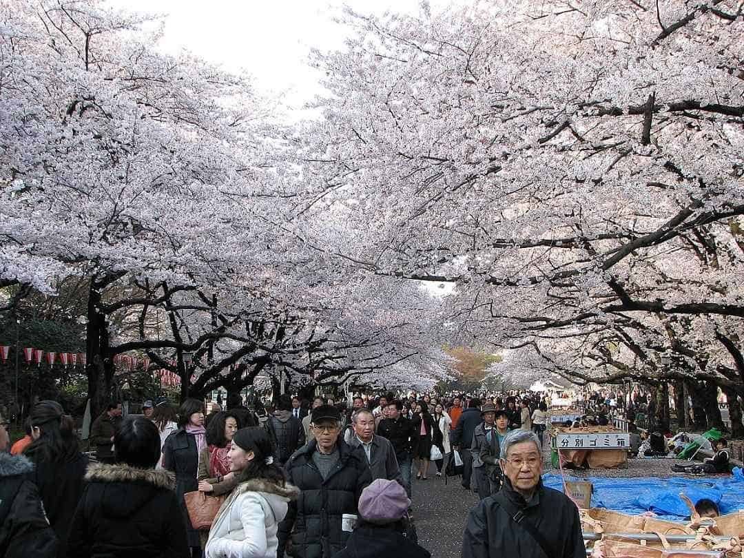 tempat wisata di jepang