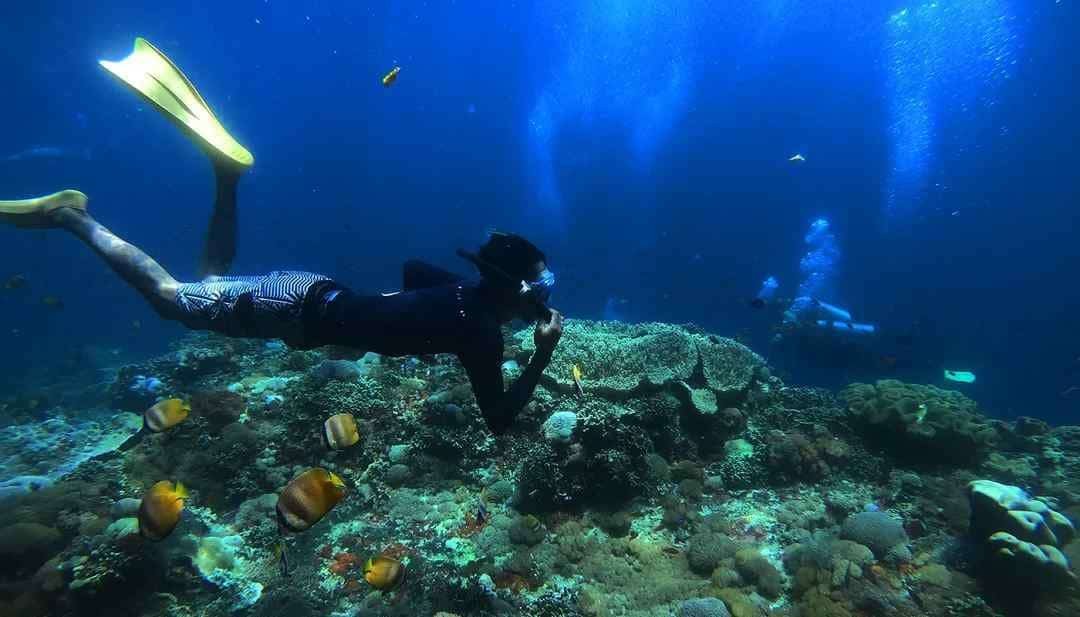 snorkeling nusa penida