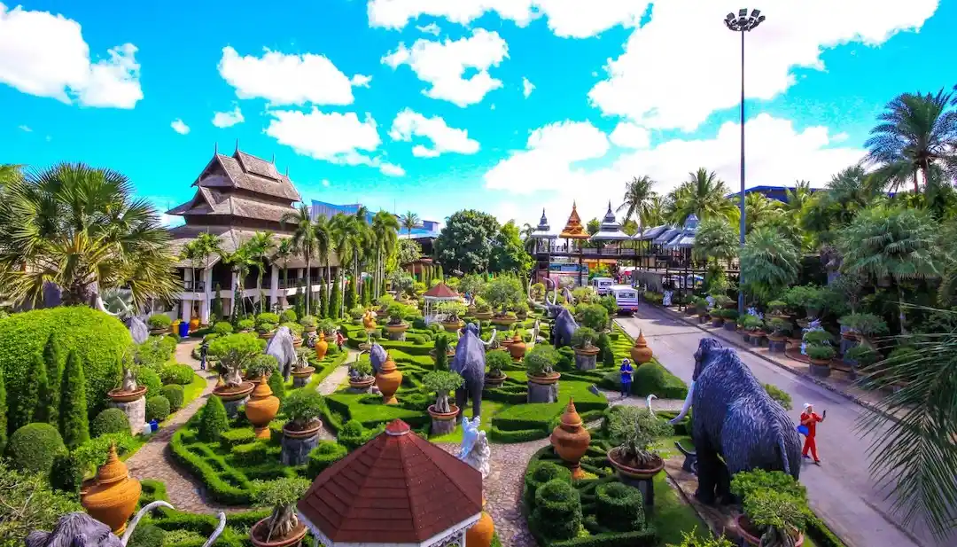 nong nooch