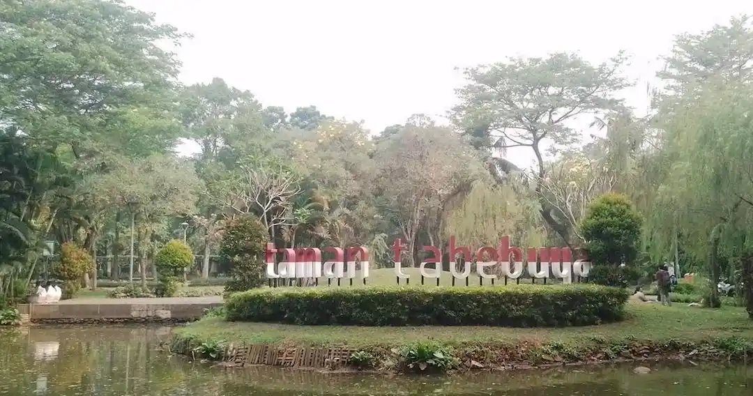 taman tabebuya