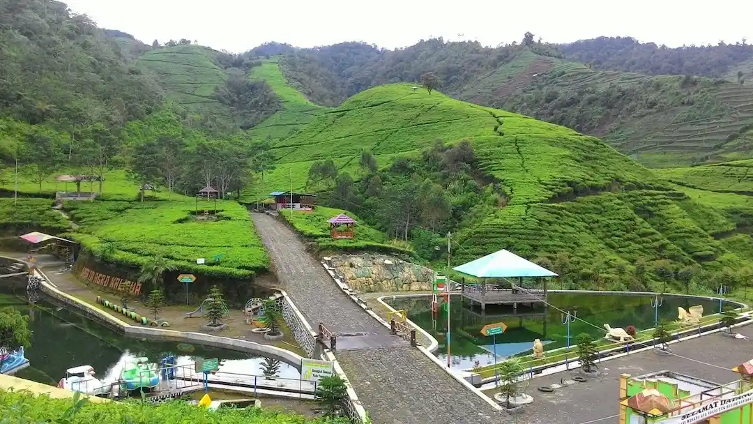 Kebun Teh Kaligua