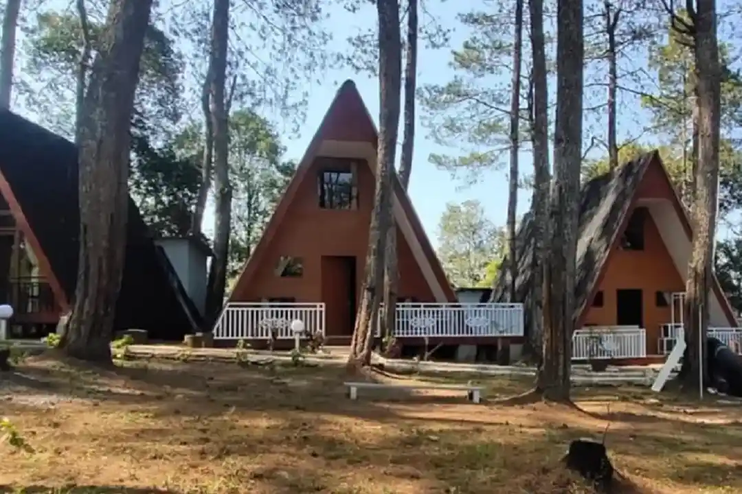 Great Panorama Lodge & Camping