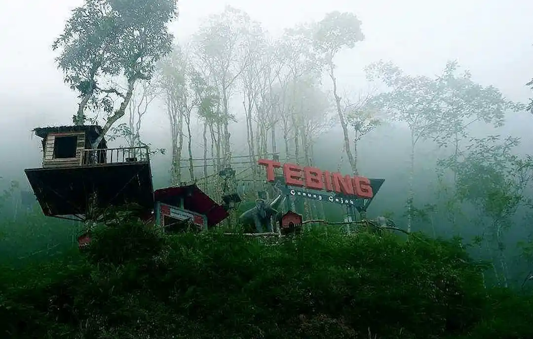 Tebing Gunung Gajah