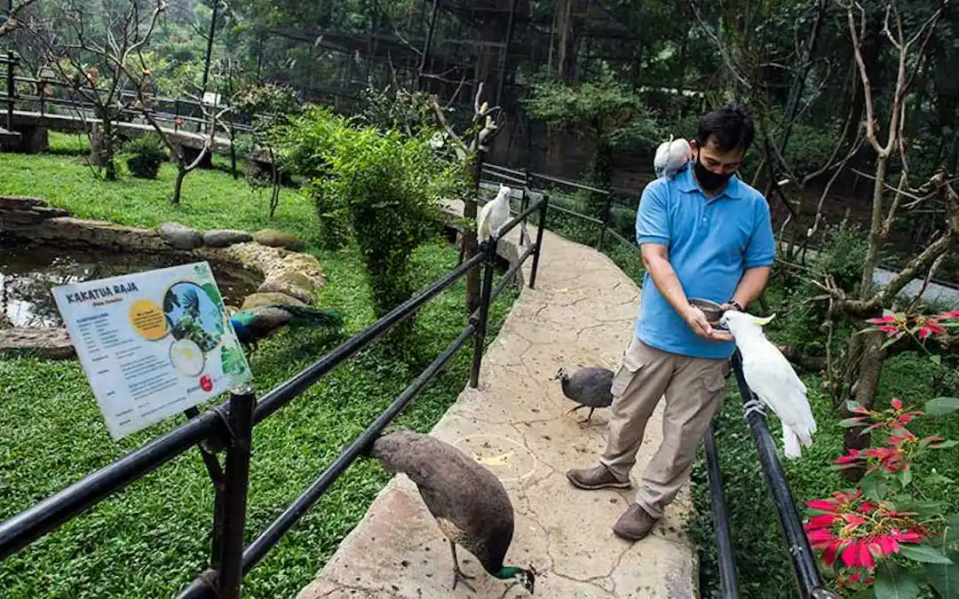 Kebun Binatang Bandung