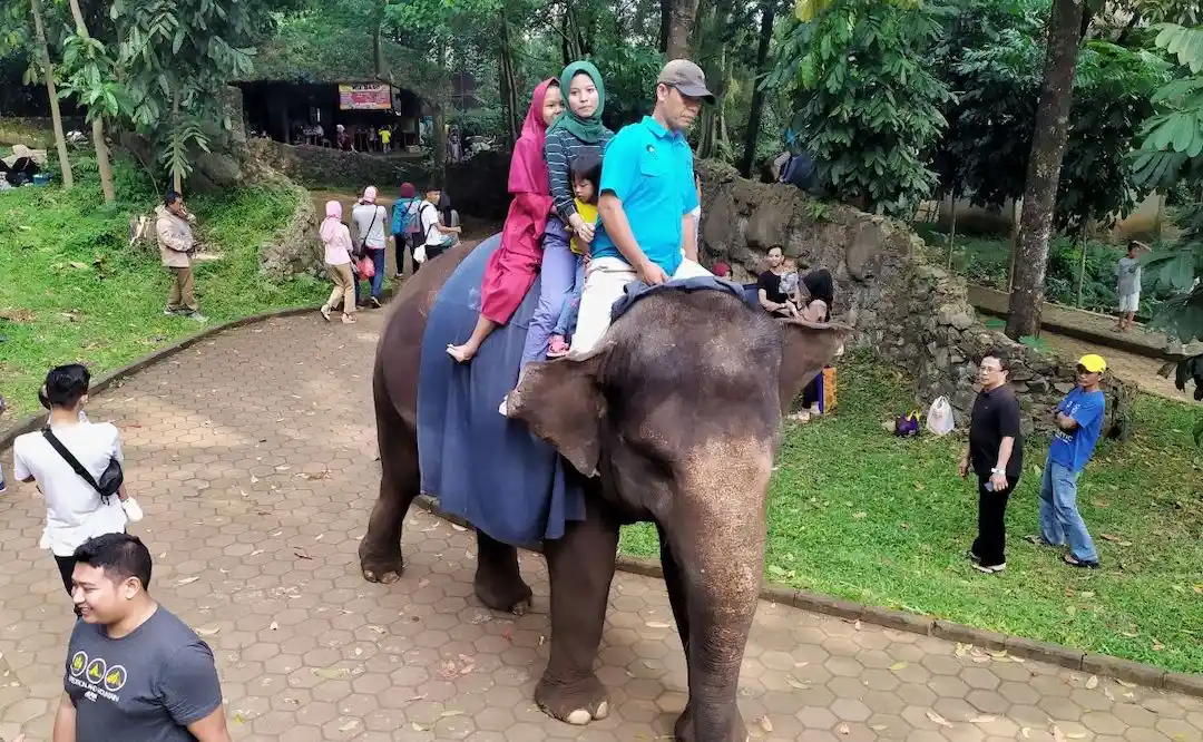 Kebung Binatang Bandung