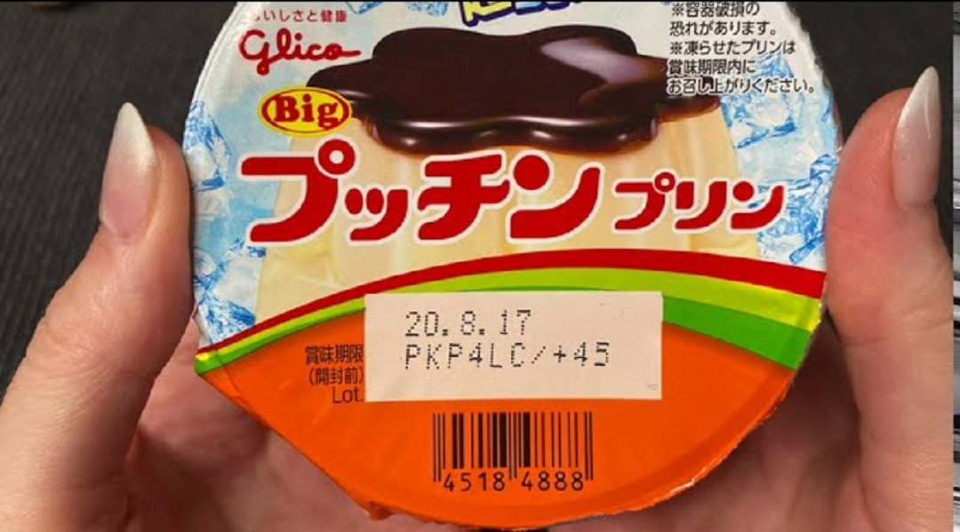 Meiji Pudding