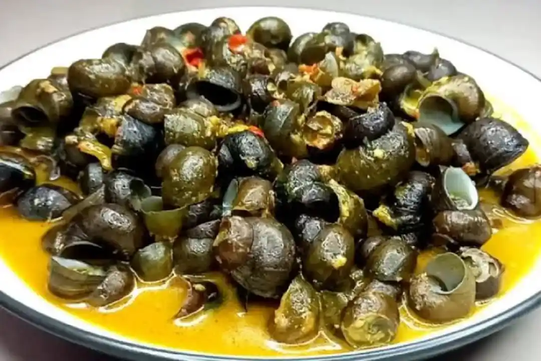 Tutut majalengka