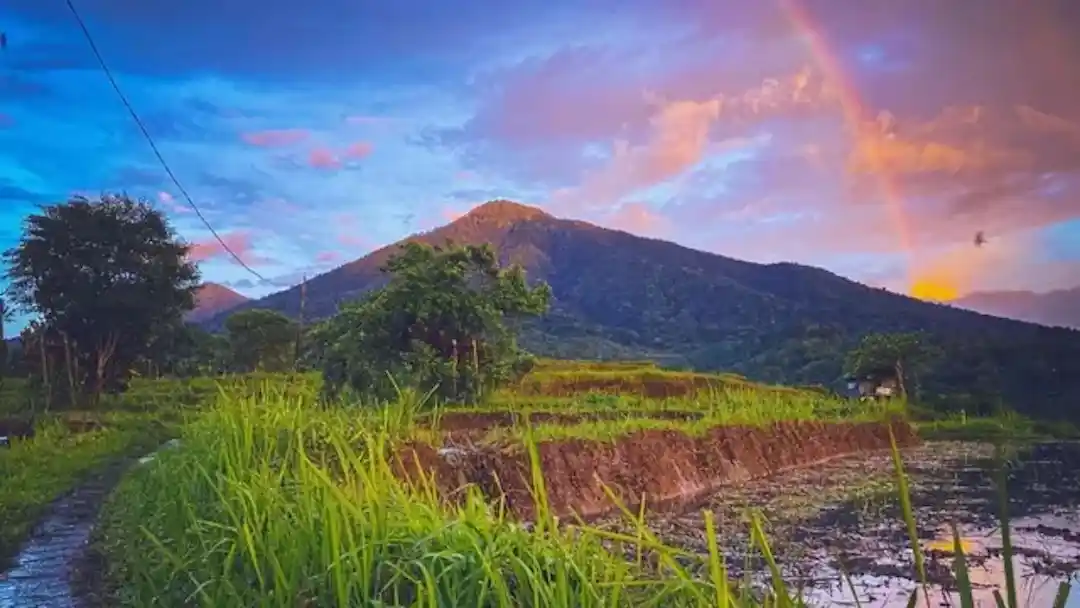 batukaru bali