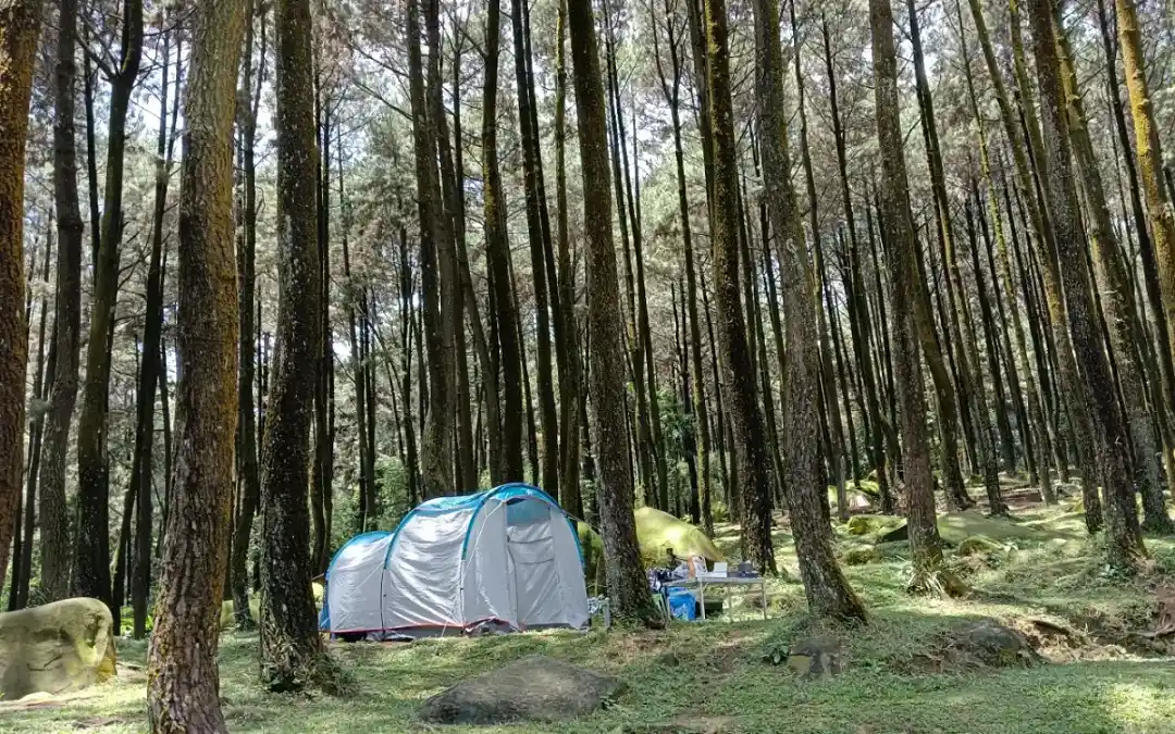 bukit baju hijau sentul