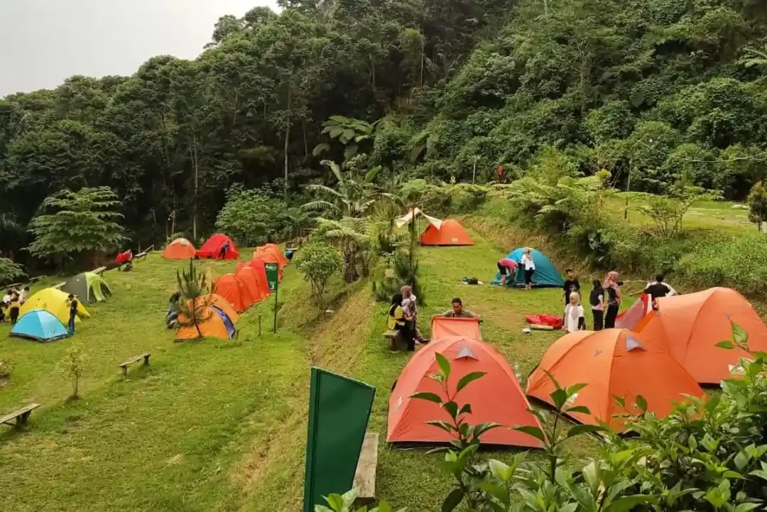 cibuluh sentul