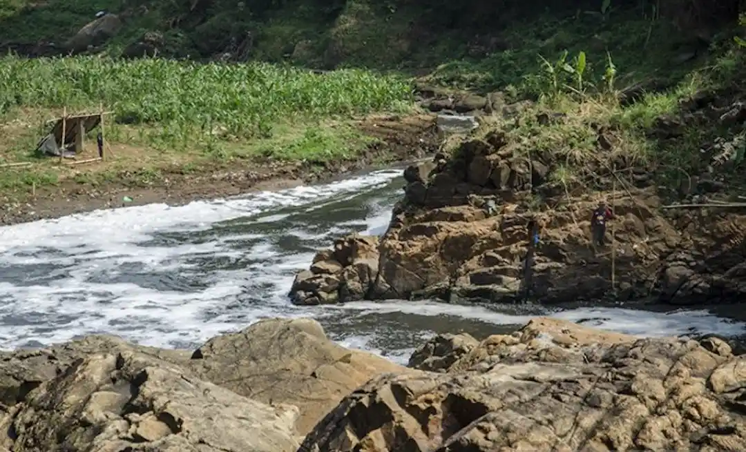 Jompong