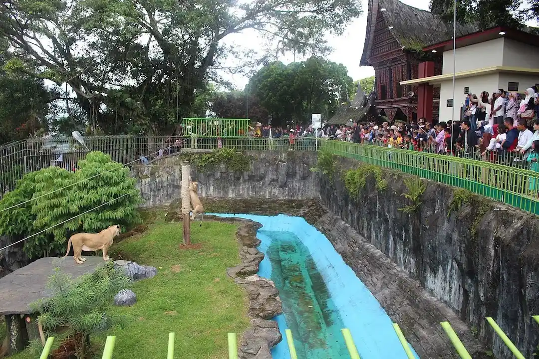 Taman Margasatwa dan Budaya Kinantan (1)