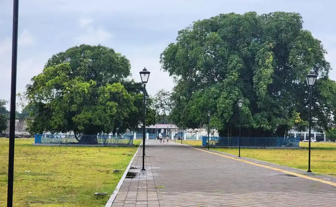 Alun-Alun Kidul