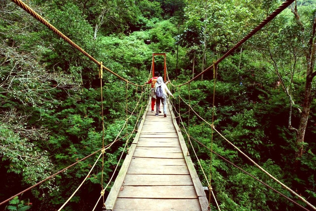 Pemandangan hijau dan jalur hiking di Taman Hutan Raya Ir. H. Djuanda (sumber Wikipedia)