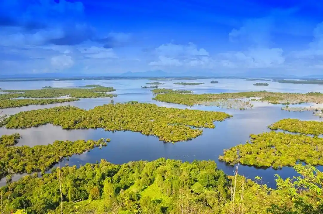 danau Sentarum 