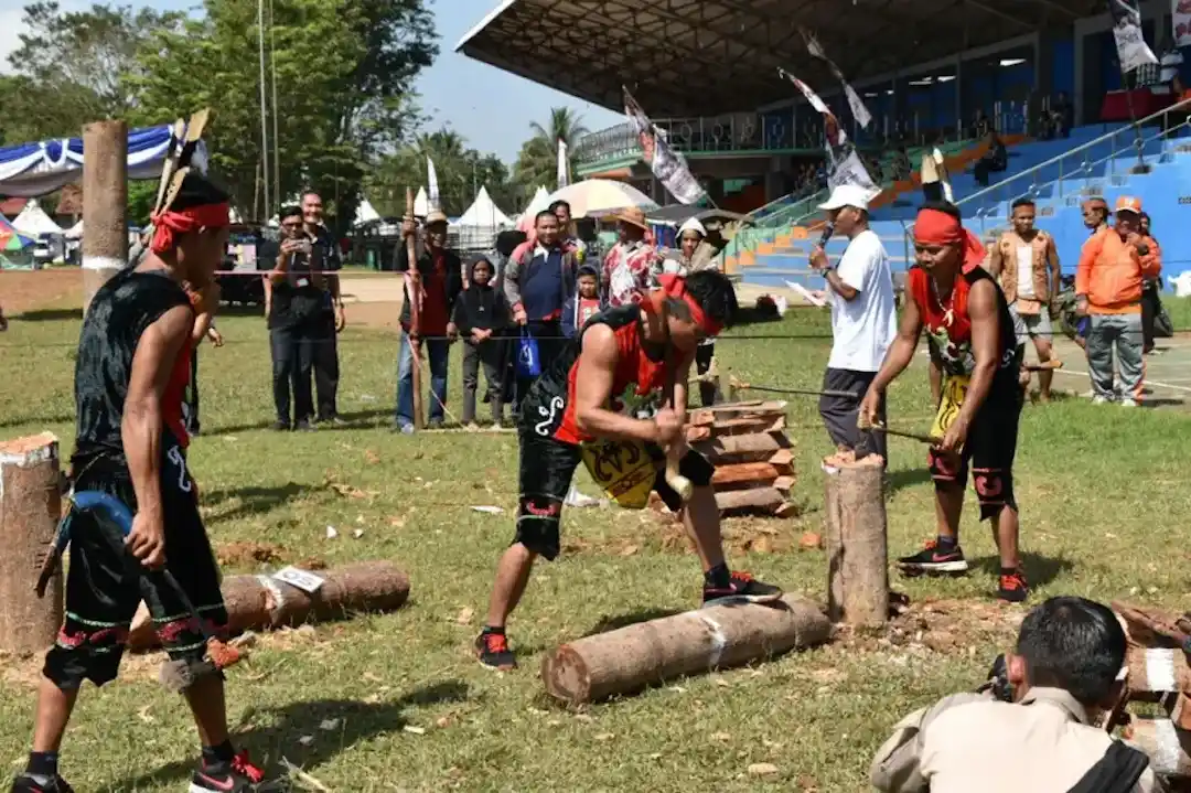 Manetek Kayu kalimantan