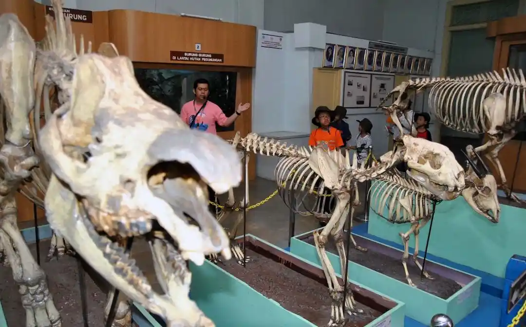 Museum Zoologi Bogor
