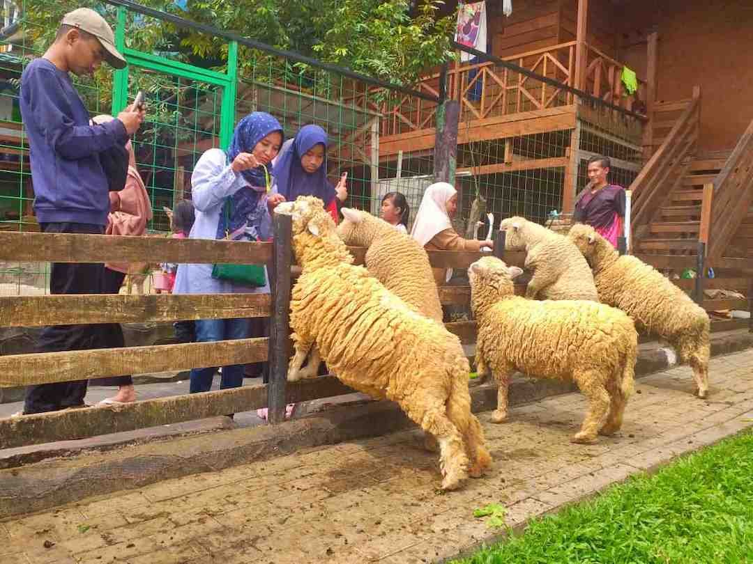 The Farm Pancawati