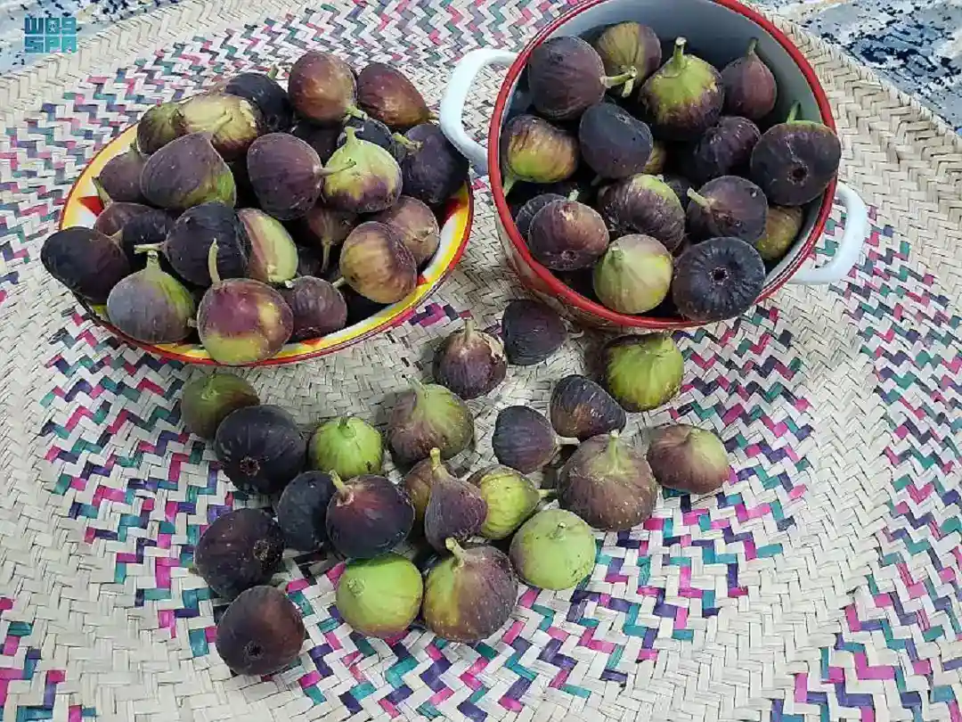 Buah Tin