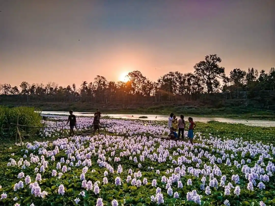 Kalinampu Natural Park