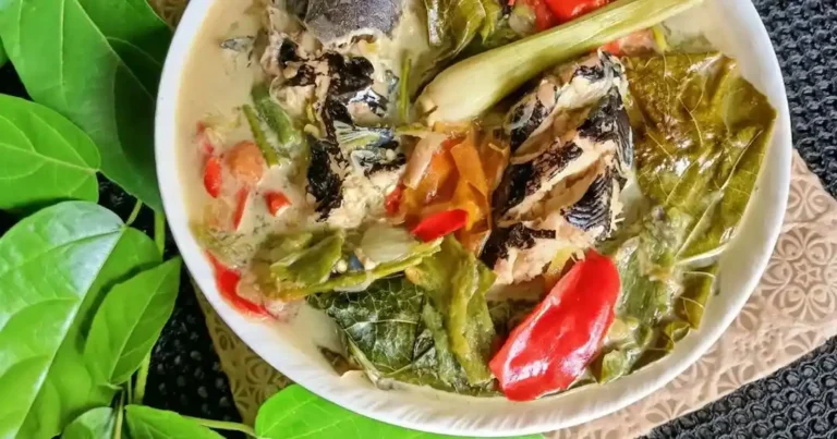 Rojak Singgil