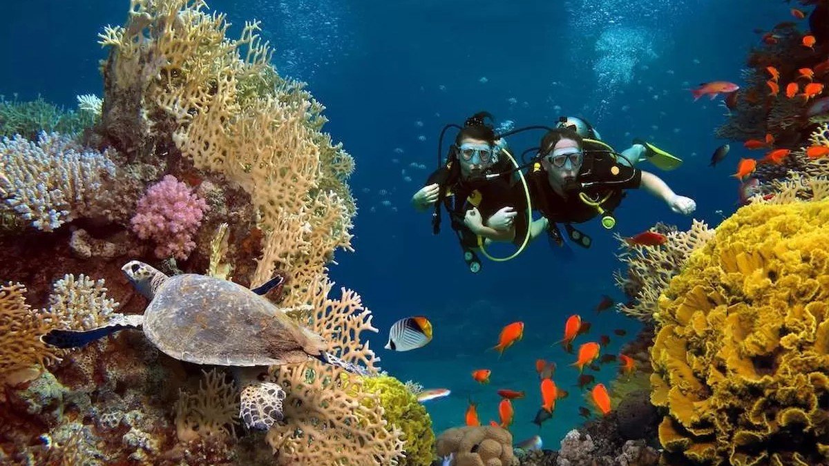 pemandangan bawah laut Taman Nasional Bunaken dengan terumbu karang berwarna-warni dan ikan tropis