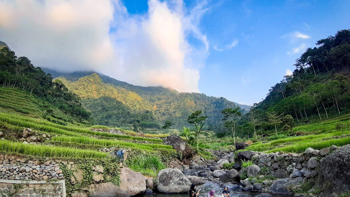 Sawah bertingkat di Desa Wisata Tempur Jepara dengan kabut pagi