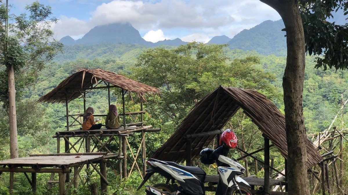 Suasana hutan pinus Hutan Wisata Sreni Jepara dengan hammock tergantung di antara pohon