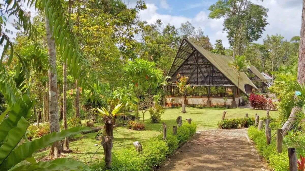 Kebun Raya Balikpapan dengan jalur hijau di tengah koleksi pohon kayu khas Kalimantan