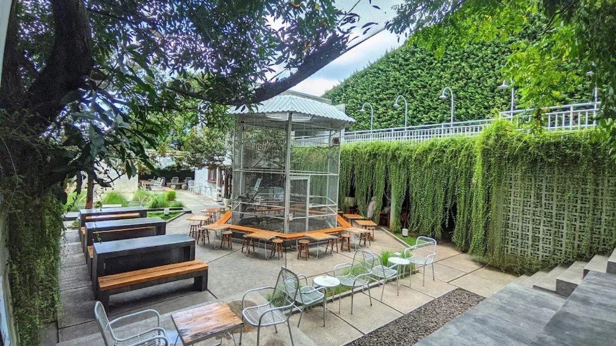Area taman Dadi’s Coffee Garden Depok dengan desain industrialis minimalis dan elemen hijau