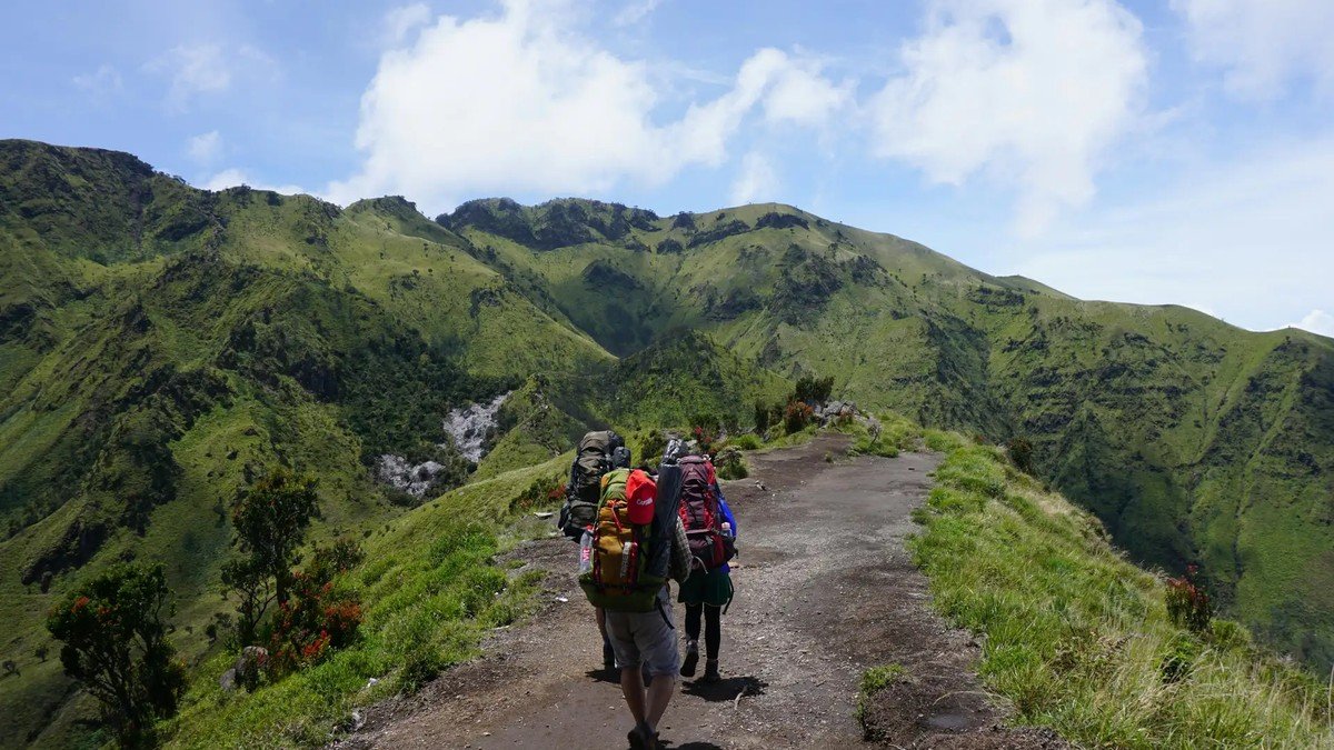 Hutan tropis lebat di jalur pendakian Gunung Batukaru Tabanan Bali