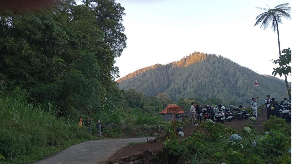 Hutan campuran di jalur pendakian Gunung Lesung kawasan Buleleng Bali yang masih alami