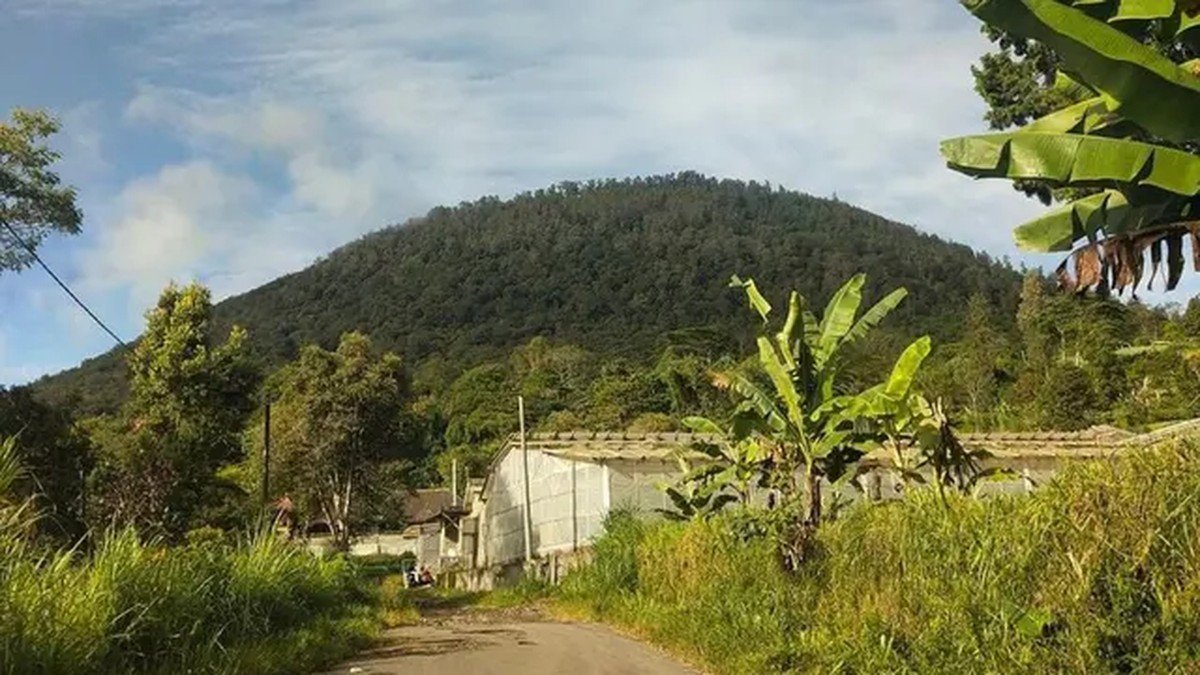 Jalur trekking Gunung Pohen Bedugul Bali melewati hutan lebat yang sepi dari wisatawan