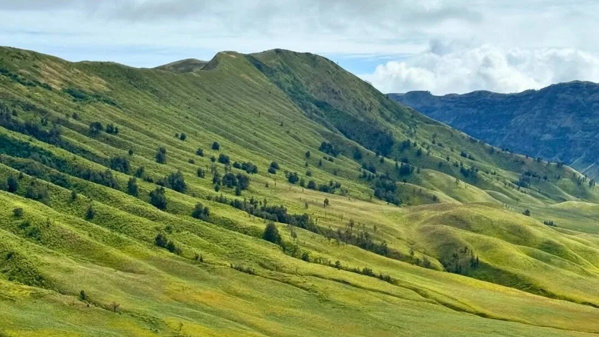 Hamparan savana hijau Teletubbies dalam paket wisata Bromo dengan latar gunung vulkanik