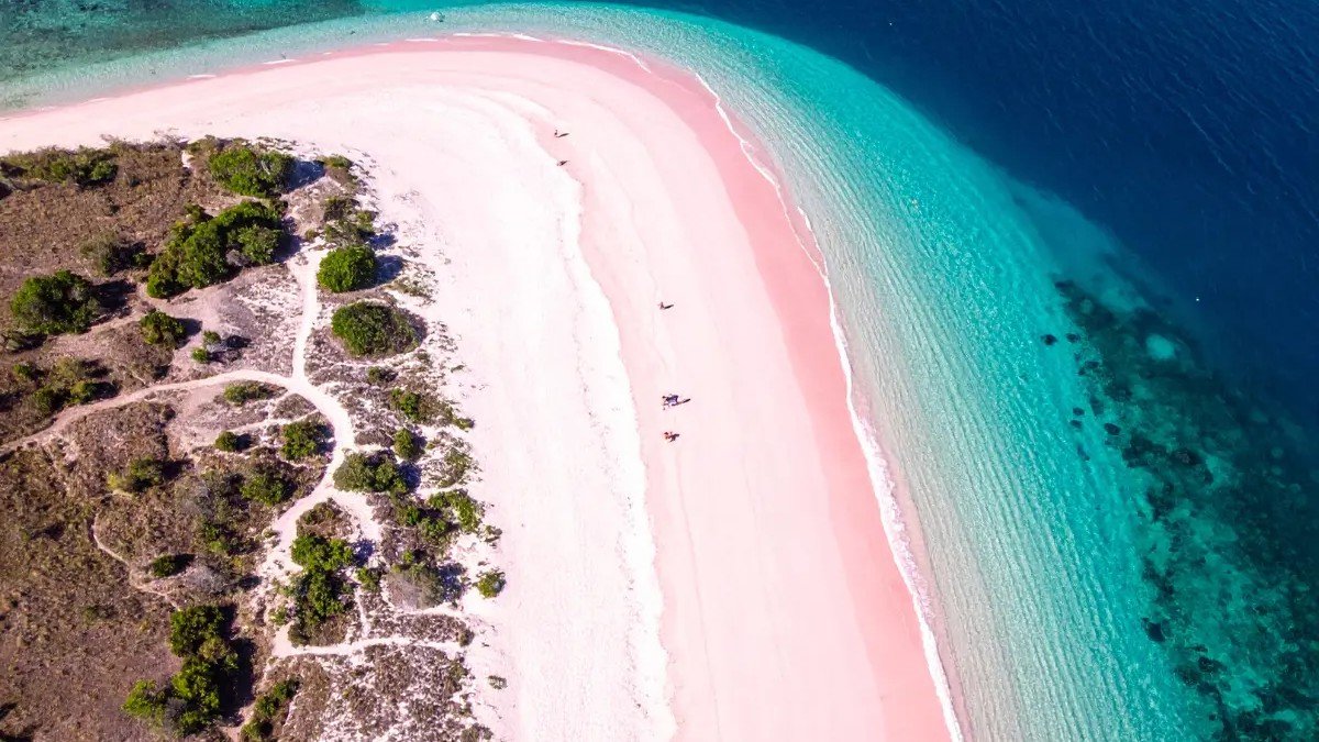 Close-up dari Pantai Pink dengan pasir berwarna pink, air turquoise, dan beberapa traveler di background