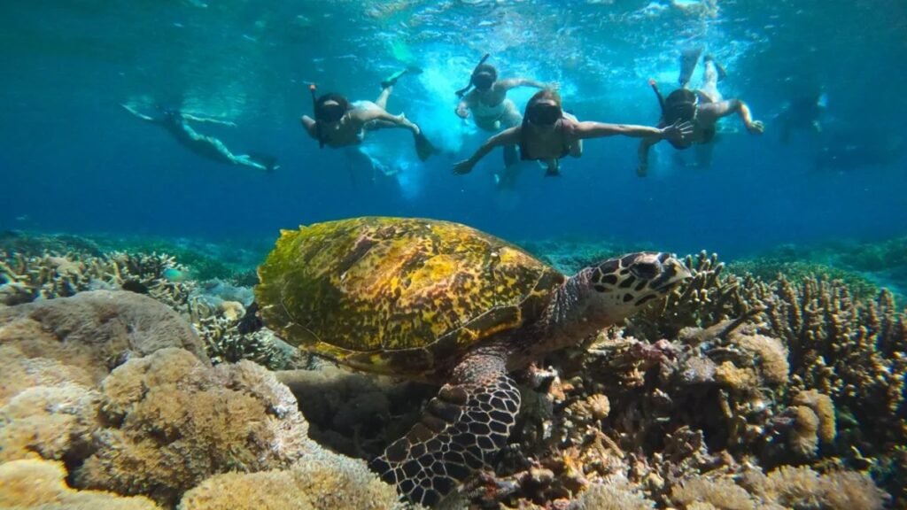Underwater shot dari snorkeler dengan coral garden dan berbagai species ikan beraneka warna di belakang